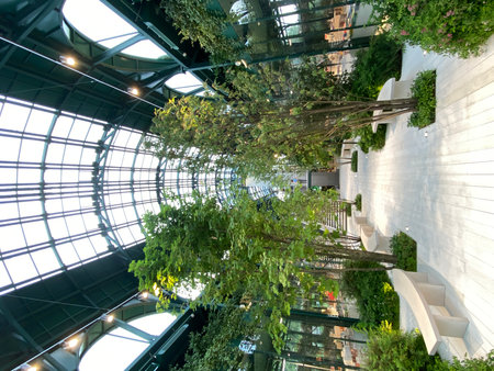 Modern indoor garden with lush trees and glass roof in urban architecture backgroundの写真素材