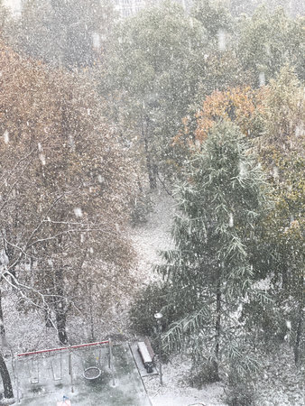 Snowy trees in a park during winter with snowflakes falling, creating a serene natural scene. Mobile...