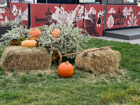 Pumpkins and hay bales on grass creating autumn harvest festival scene, suitable as background. Mobile photoの写真素材