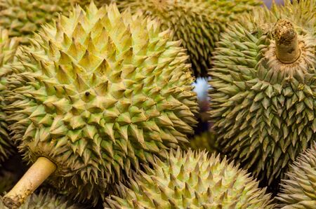 Group of fresh durian fruit in the marketの写真素材