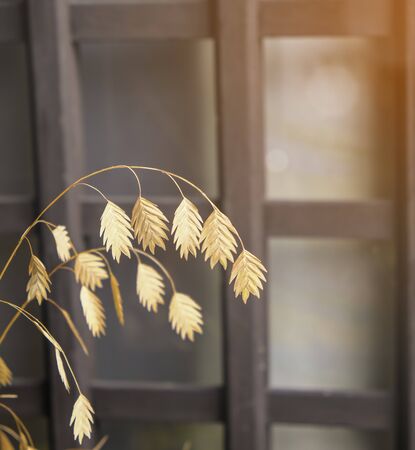 dry brown leaves shapen japanese wooden doorの写真素材