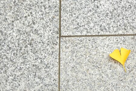 Falling fresh yellow ginkgo leaf on marble table.の写真素材