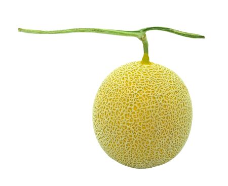 fresh yellow round sweet melon isolated white backgroundの写真素材