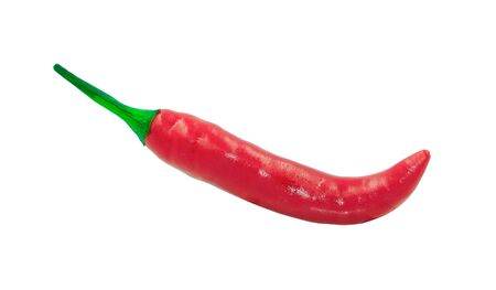 one red hot chilli spice vegetable herb. Isolated on white backgroundの写真素材
