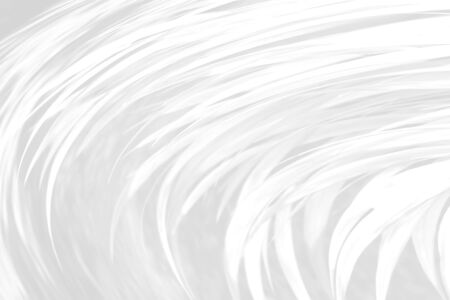 soft abstract sharp leaves white and gray backgroundの写真素材