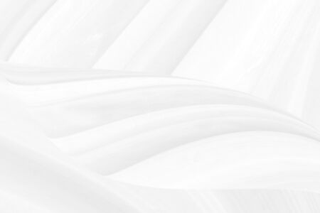 abstract white fabric curve shape wave modern style backgroundの写真素材