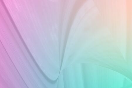 soft abstract multi color curve shapeの写真素材