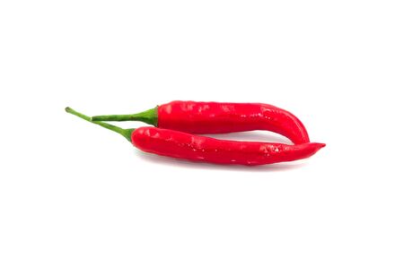 two red hot chilli spice vegetable herb. Isolated on white backgroundの写真素材