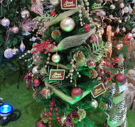 decoration colorful light christmas treeの写真素材