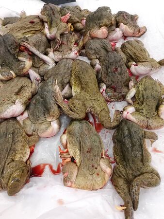 group of frog died. Sell at supermarket for cooking food in thailandの写真素材