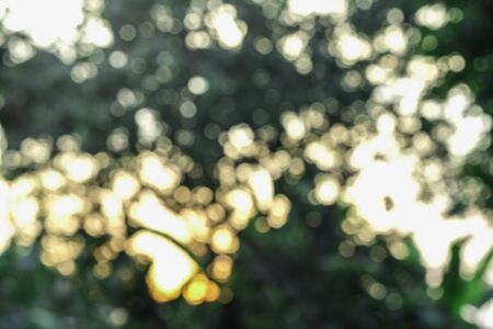 sun light bokeh green backgroundの写真素材