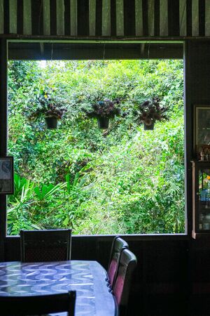 table and chair near widow frame in restaurant. Green tree background in widow frame.の写真素材