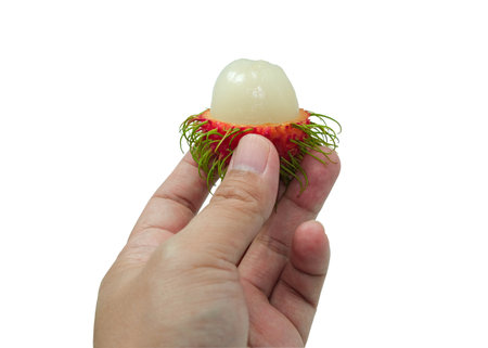 left human hand holding rambutan red and green peel fruit. tropical sugary asian juicy hair textured. Isolated on white background with clipping path.の写真素材
