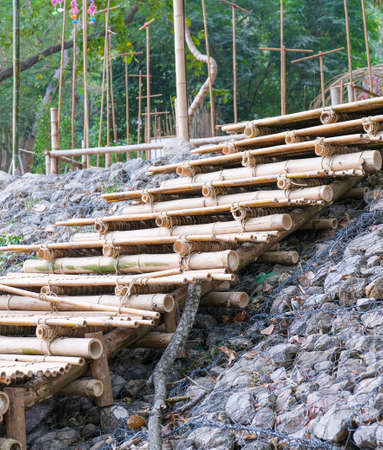wooden stairs made from bamboo tree brown color. natural material building from tree part.の写真素材