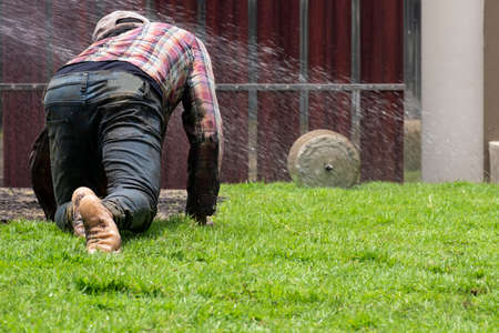 male worker crawl plant care green grass on dirty floor. farmer use fertilizer with golden sand before plant yard.の写真素材