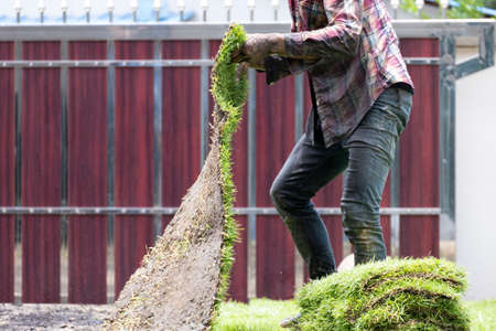 gardener male holding prepare side for spread green grass on dirty floor. farmer use fertilizer with golden sand before plant yard.の写真素材