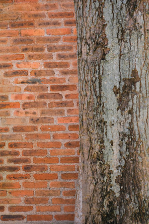 vertical orange square brick block wall textured and wooden tree background. strong interiors house building.の写真素材