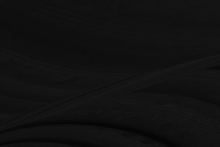 beauty textile abstract soft fabric black smooth curve fashion matrix shape decorate backgroundの写真素材