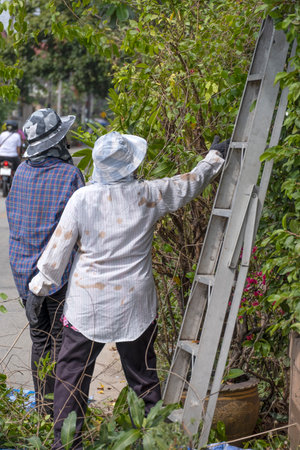 man and women gardener working in botany garden cutting tree and climber on aluminum ladder. two labor cut off green leaves.の写真素材