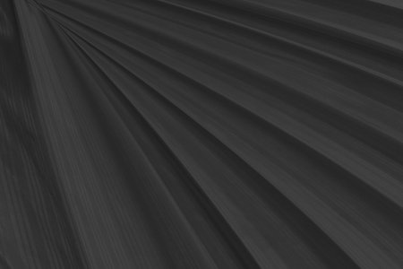 beauty black and green black smooth shape abstract chacoal textile soft fabric curve fashion matrix decorate backgroundの写真素材