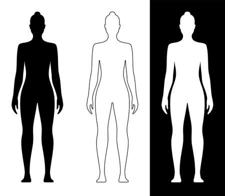 Young slim women body vector illustration, silhouette, outline, and on the background. Female body shape isolated on background.のイラスト素材