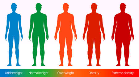 Body mass index vector poster. Adult men with different bodyweight sizes from underweight to overweight.のイラスト素材