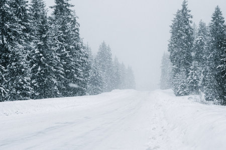 A serene and peaceful view of a snow-laden path winding through a dense pine forest during a...