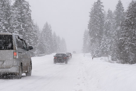Vehicles navigate through a heavy snowfall on a road lined with pine trees, highlighting the...
