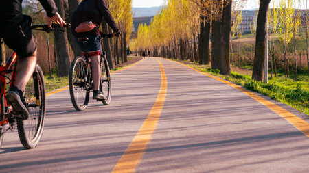Two cyclists ride along a scenic, tree-lined paved path in the park during a sunny spring afternoon, enjoying the outdoor activity.の写真素材