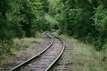 The railway tracks curving gracefully through a dense forest, surrounded by vibrant green foliage. Sunlight filters through the trees, creating a serene atmosphere perfect for exploration.の写真素材