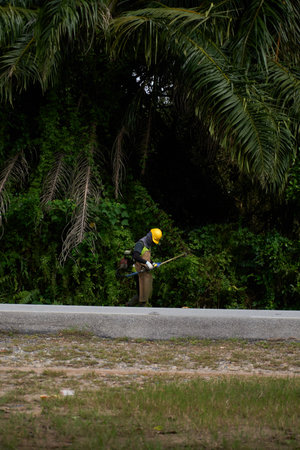 A worker in a yellow hard hat trims overgrown roadside plants and palm fronds, maintaining the green areas along a paved road.の写真素材