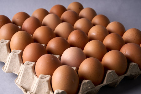 Flatlay of 30 brown eggs in molded pulp tray. Ideal for food, grocery, farm, and packaging themes.の写真素材