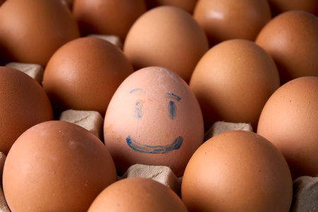 One smiling egg stands out among plain eggs in a carton, symbolizing joy, confidence, and individuality.の写真素材