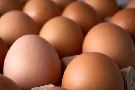 Close-up of brown eggs in molded paper carton. Ideal for food, grocery, culinary, and organic lifestyle themes.の写真素材