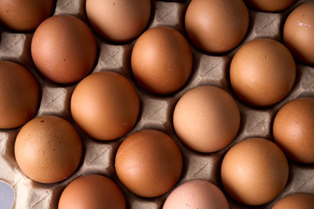 Flatlay view of brown eggs in molded paper tray. Ideal for food, grocery, farm, and packaging themes.の写真素材