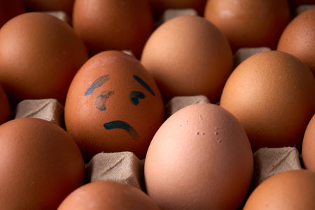 Brown egg with sad face drawn in blue marker among plain eggs in carton. Symbolizes emotion, isolation, and individuality.の写真素材