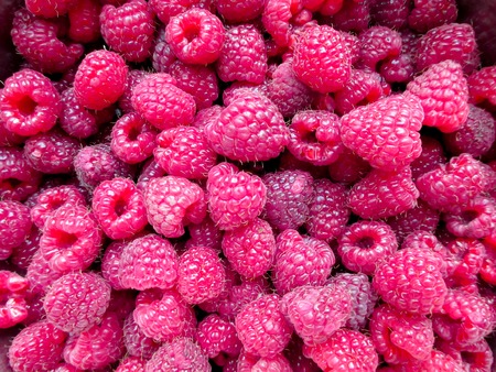Background of ripe magenta raspberries