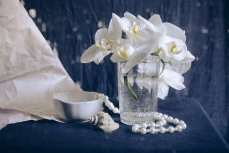 Artistic photo still life with white orchid, pearl beads and sea shell on dark blue background