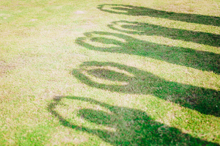 Shadow in the lawnの写真素材