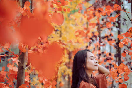 A beautiful woman dressed in a brown dress in the middle of a forest rich in colorful flowers,...