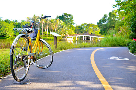 The yellow bicycle on a road with feel alone.の写真素材