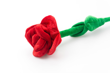 red rose isolated on white backgroundの写真素材