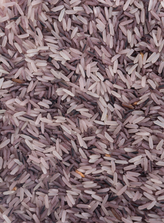 berry rice isolated on white backgroundの写真素材