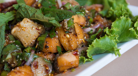Salmon larb spicy salad thai styleの写真素材