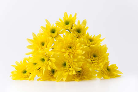 flowers isolated on white backgroundの写真素材