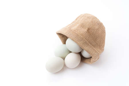 duck eggs isolated on white background