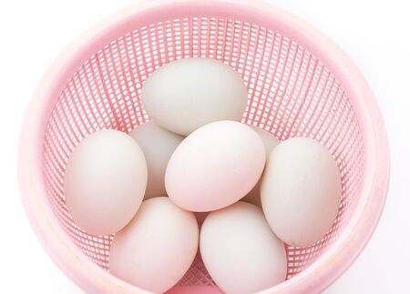 duck eggs isolated on white backgroundの写真素材