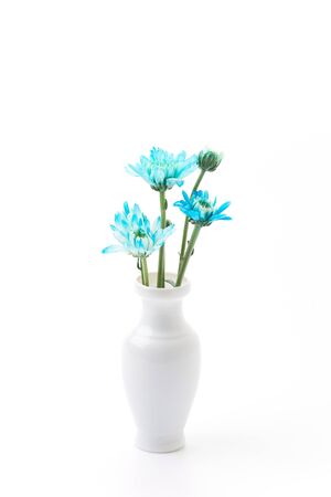 blue flower isolated on white backgroundの写真素材