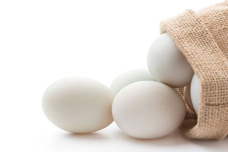 duck eggs isolated on white backgroundの写真素材