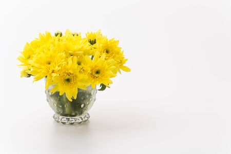 flower isolated on white backgroundの写真素材